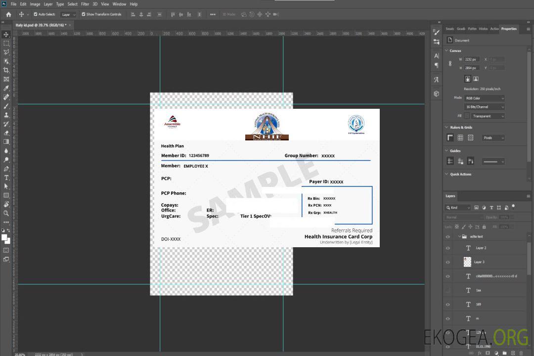 Carte d'assurance maladie de Tanzanie template